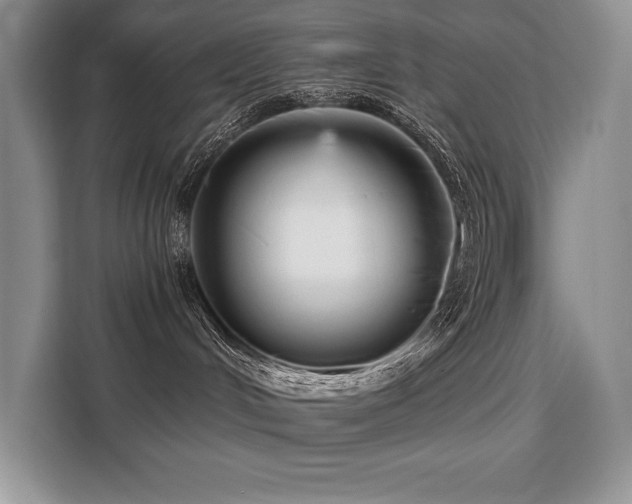 X0000110320048200905211535