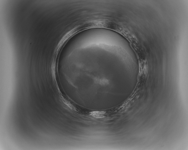 X0000110320051200905211534