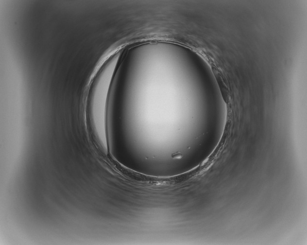 X0000110320056200905211534