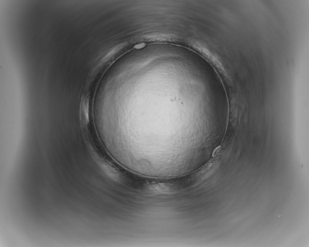 X0000110320062200905211534