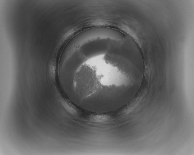 X0000110320063200905211534