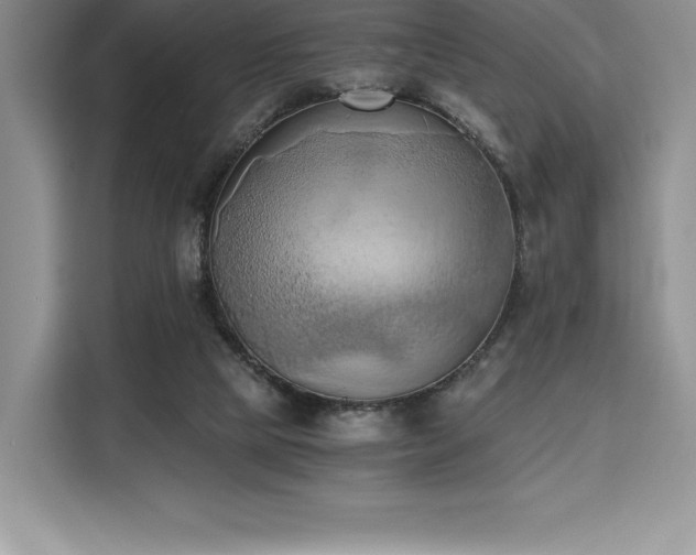 X0000110320065200905211535