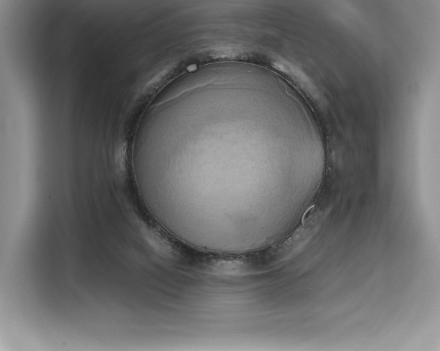 X0000110320066200905211535