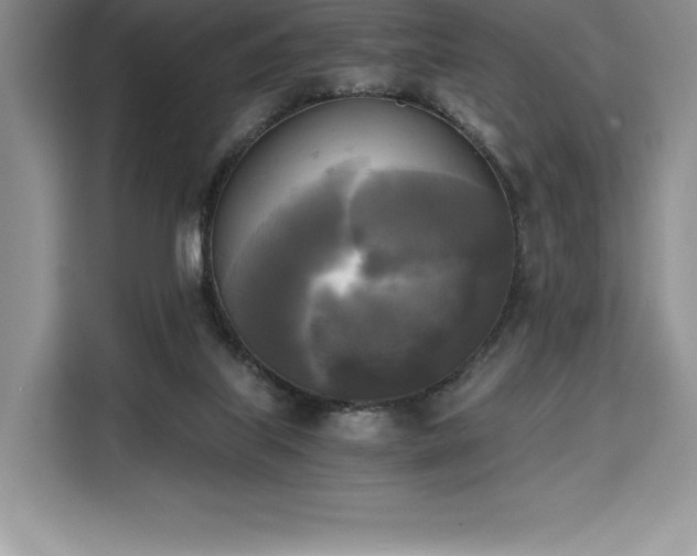 X0000110320067200905211535