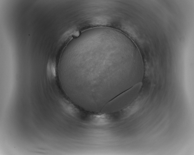 X0000110320068200905211535