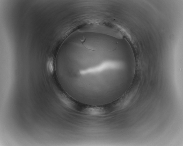 X0000110320069200905211535