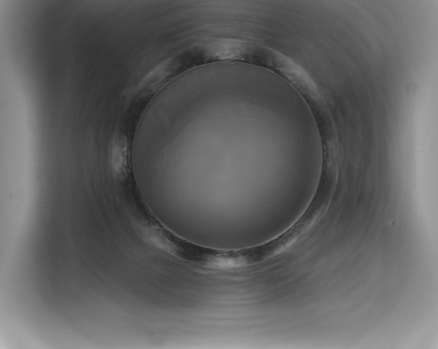 X0000110320073200905211535