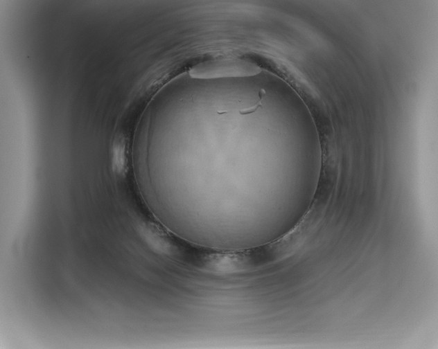 X0000110320074200905211535