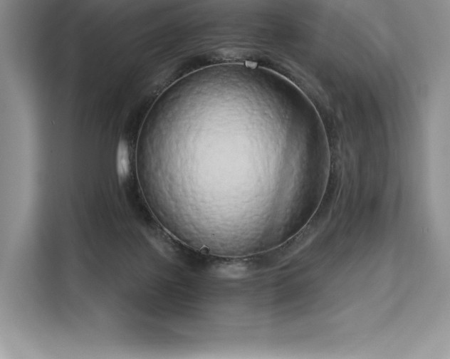 X0000110320075200905211535