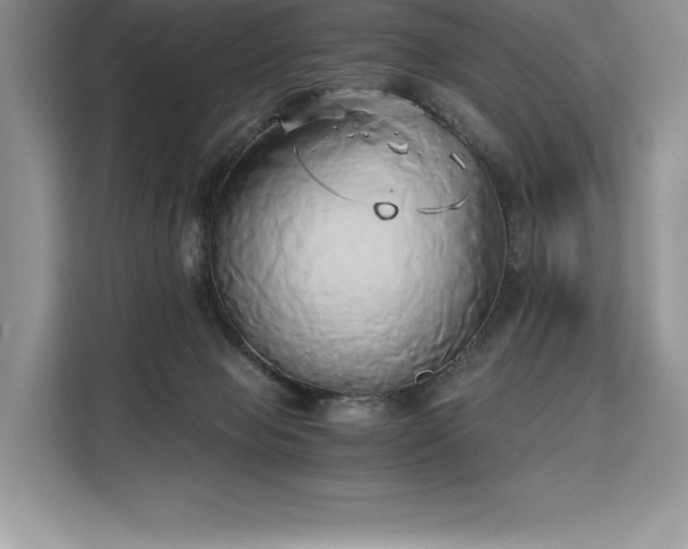 X0000110320077200905211535