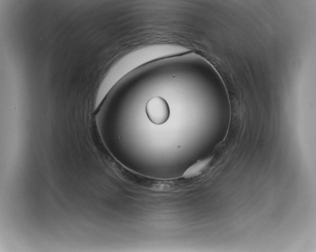 X0000110320080200905211535