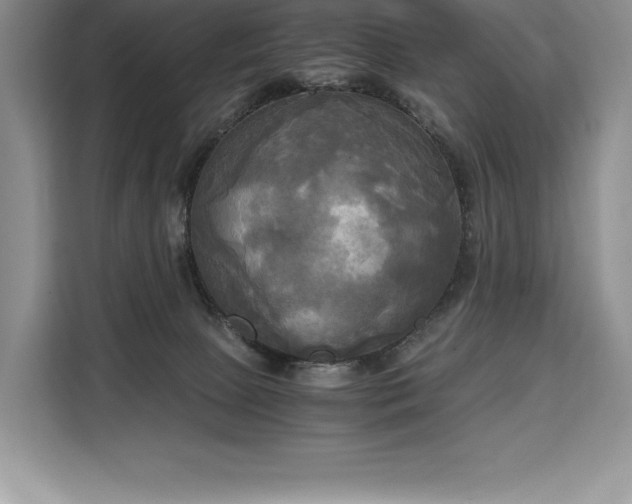 X0000110320081200905211535