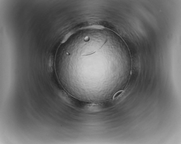 X0000110320082200905211535