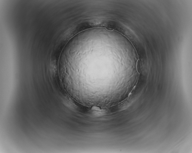 X0000110320085200905211535