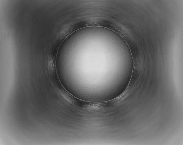 X0000110320086200905211535