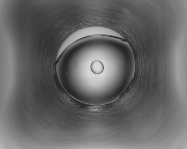 X0000110320088200905211535