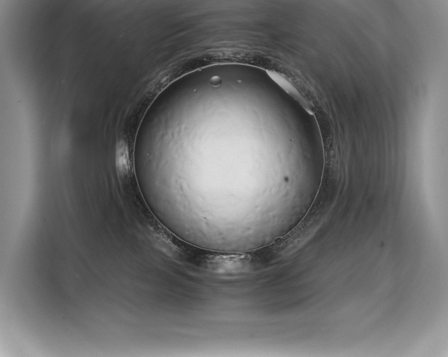 X0000110320089200905211535