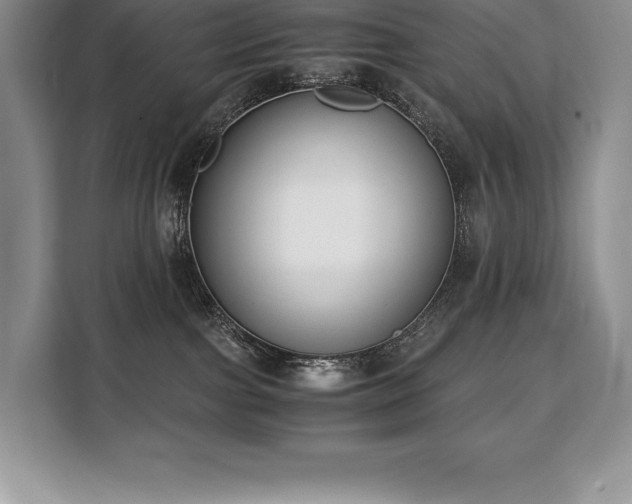 X0000110320091200905211535