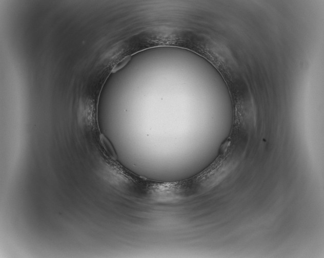 X0000110320092200905211535