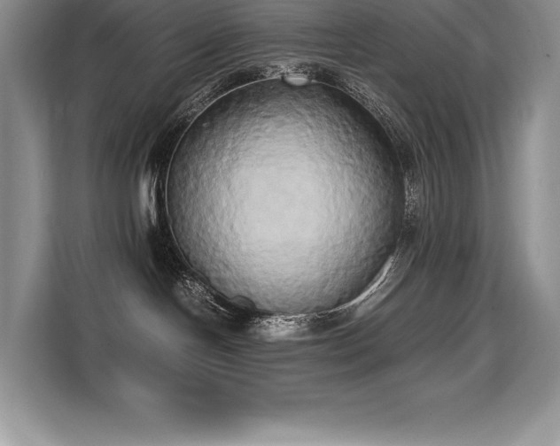 X0000110320094200905211535