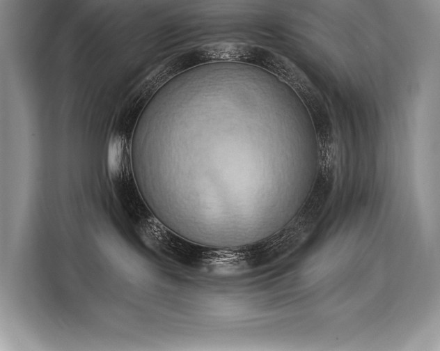 X0000110320095200905211535