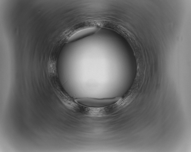 X0000110320096200905211535