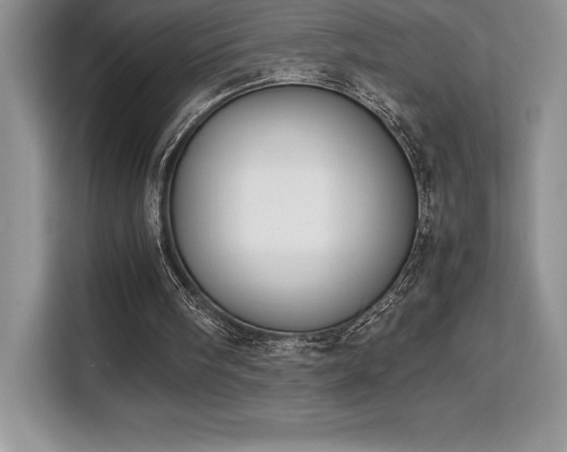 X0000110320098200905211534