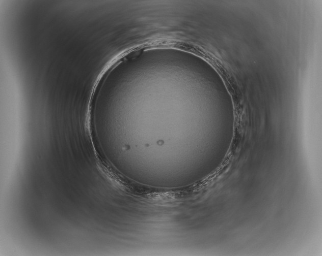 X0000110320100200905211534