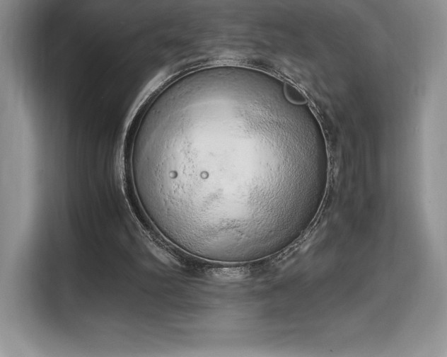 X0000110320102200905211534