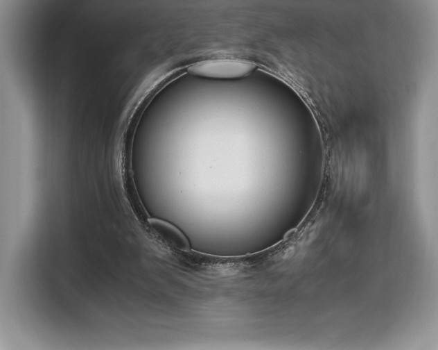 X0000110320103200905211534