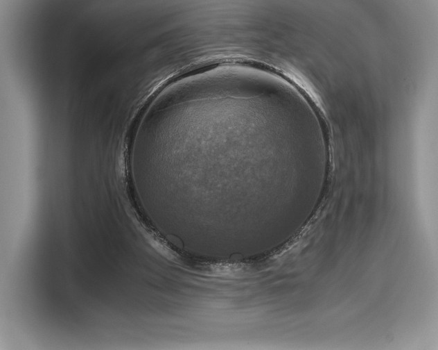 X0000110320105200905211534