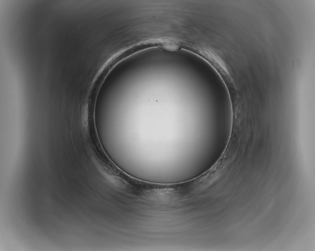 X0000110320108200905211534