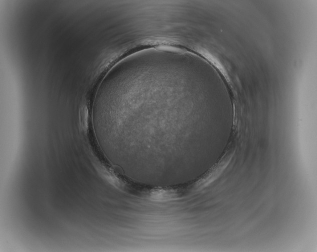 X0000110320109200905211534