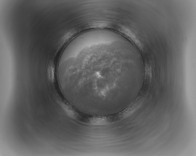 X0000110320110200905211534