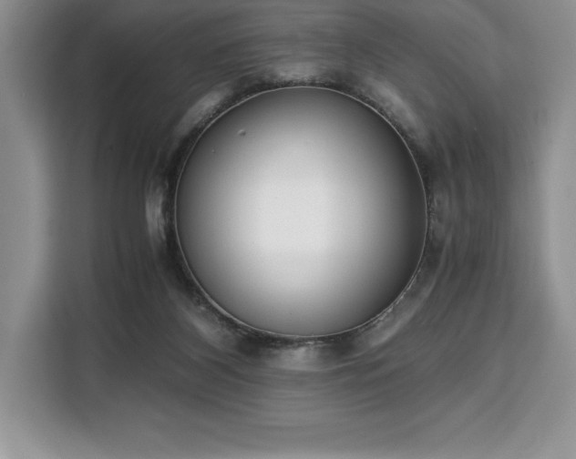 X0000110320116200905211534