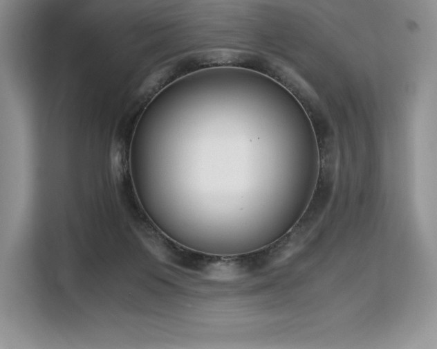 X0000110320119200905211534