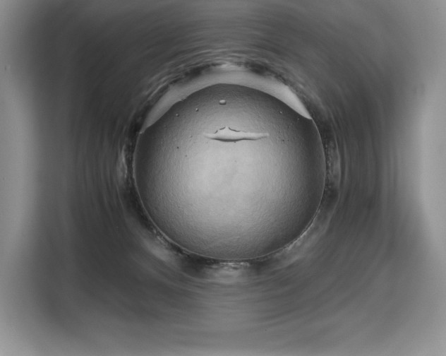 X0000110320128200905211534