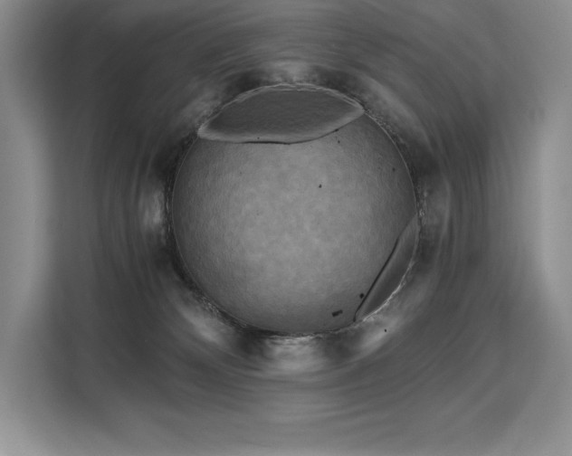 X0000110320132200905211534