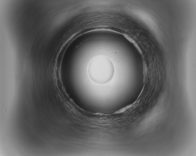 X0000110320146200905211533