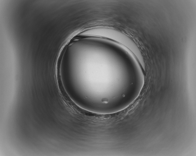 X0000110320148200905211533