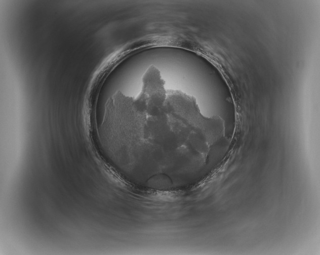 X0000110320149200905211533