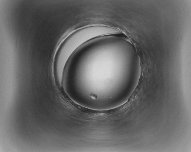 X0000110320152200905211533