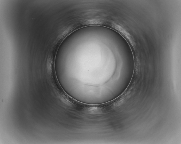 X0000110320153200905211533