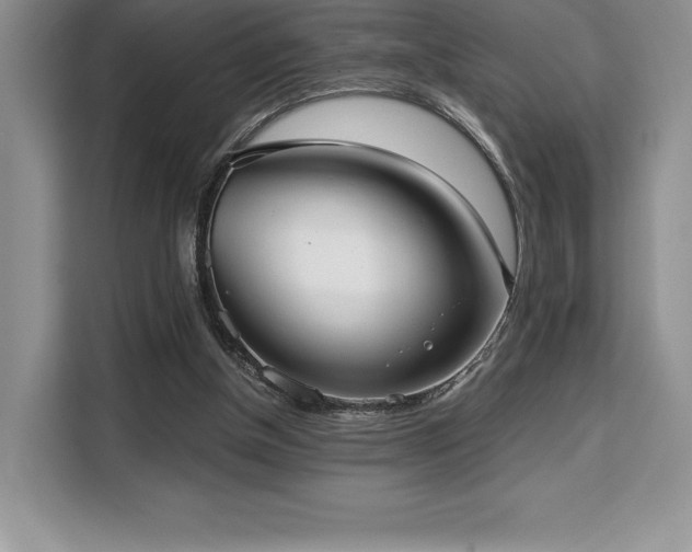 X0000110320154200905211533