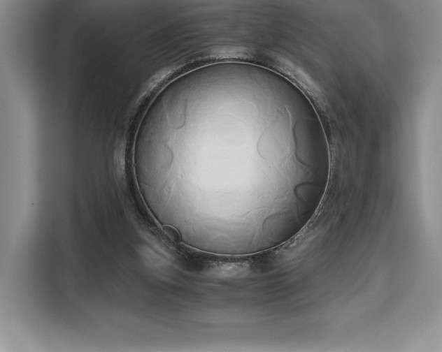 X0000110320155200905211533