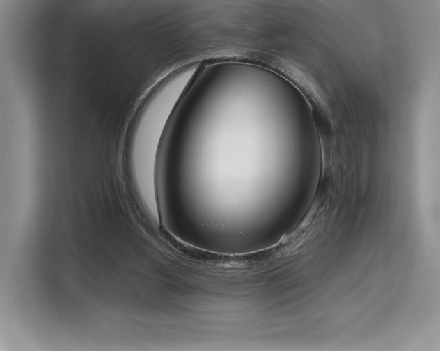 X0000110320156200905211533