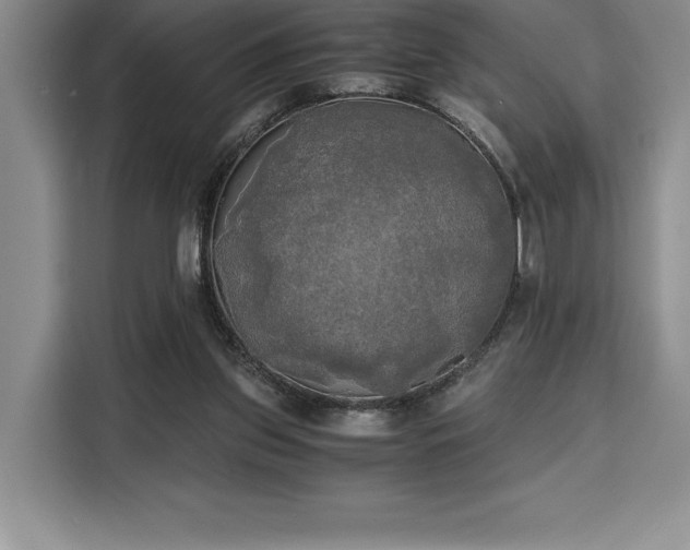 X0000110320157200905211533