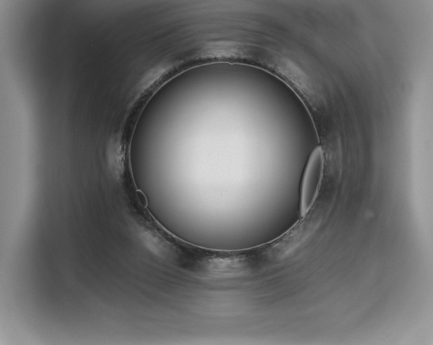 X0000110320160200905211533