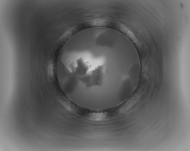X0000110320161200905211533