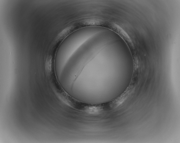 X0000110320163200905211533